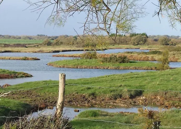 Spacious Nest With Terrace Near The Saint-Hilaire-de-Talmont