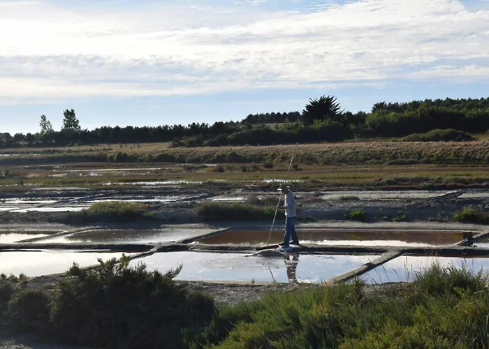 Ferienhaus Spacious Nest With Terrace Near The